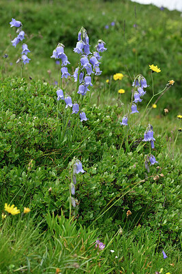 BUITEN BEELD Foto: 448392