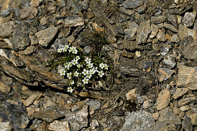 BUITEN BEELD Foto: 448399