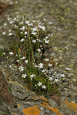 BUITEN BEELD Foto: 448400
