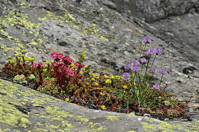 BUITEN BEELD Foto: 448424