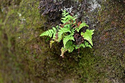 BUITEN BEELD Foto: 448428