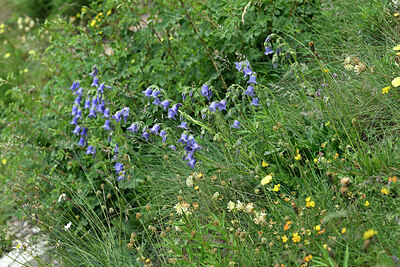 BUITEN BEELD Foto: 448431