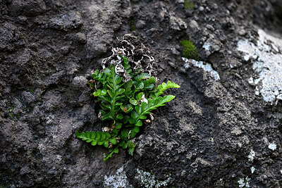 BUITEN BEELD Foto: 448433