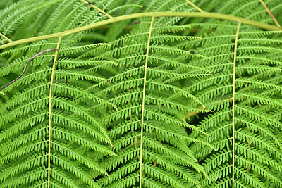 BUITEN BEELD Foto: 448435