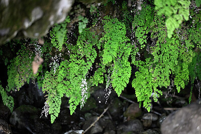 BUITEN BEELD Foto: 448437