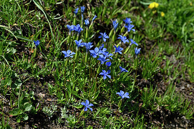BUITEN BEELD Foto: 448452