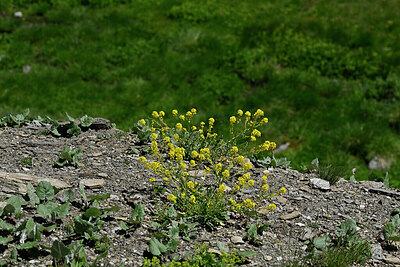 BUITEN BEELD Foto: 448464
