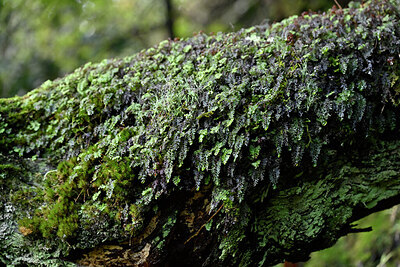 BUITEN BEELD Foto: 448477