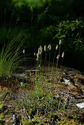 BUITEN BEELD Foto: 448492