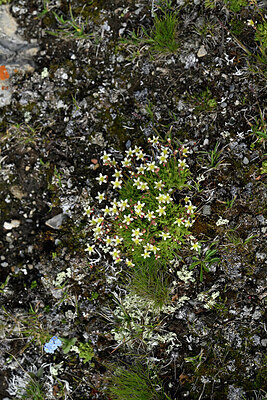 BUITEN BEELD Foto: 448498