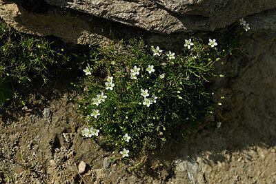 BUITEN BEELD Foto: 448499