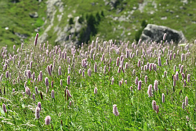 BUITEN BEELD Foto: 448512