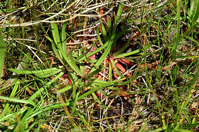 BUITEN BEELD Foto: 448514