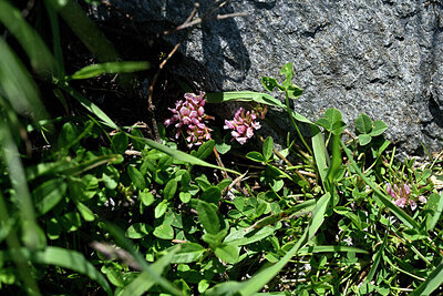BUITEN BEELD Foto: 448526