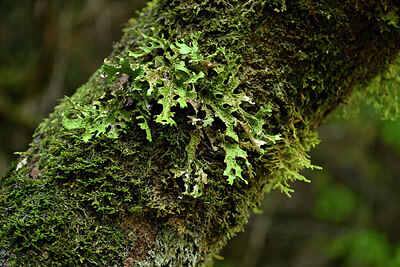 BUITEN BEELD Foto: 448533