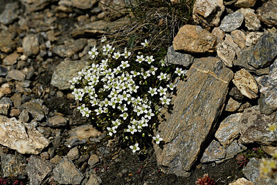 BUITEN BEELD Foto: 448543