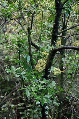 BUITEN BEELD Foto: 448549