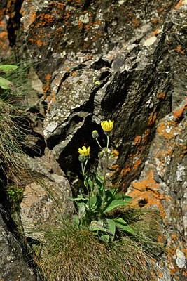 BUITEN BEELD Foto: 448550