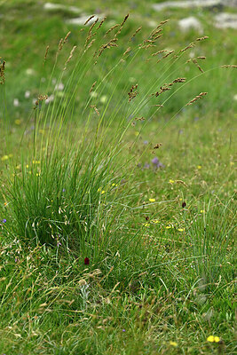 BUITEN BEELD Foto: 448551