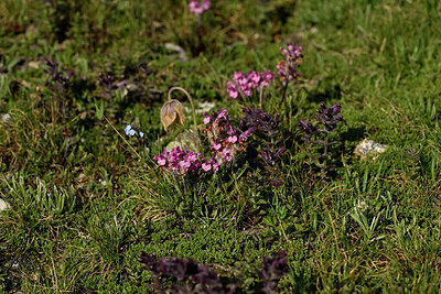 BUITEN BEELD Foto: 448555