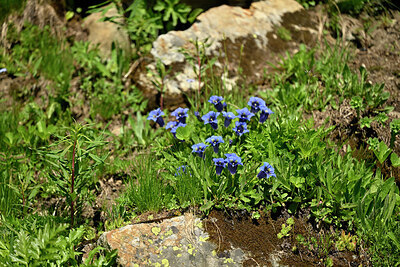 BUITEN BEELD Foto: 448559