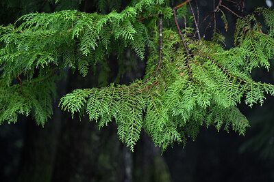 BUITEN BEELD Foto: 448581
