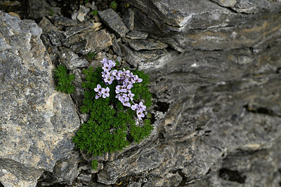 BUITEN BEELD Foto: 448583