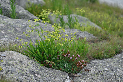 BUITEN BEELD Foto: 448595