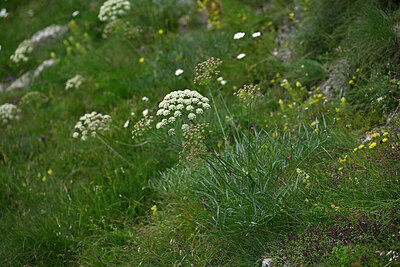 BUITEN BEELD Foto: 448600