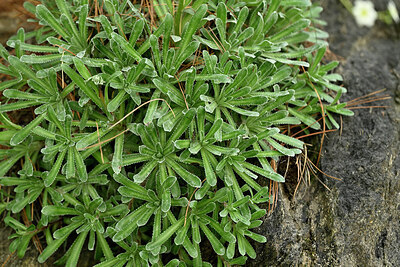 BUITEN BEELD Foto: 448601