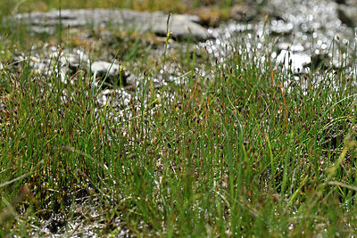 BUITEN BEELD Foto: 448603