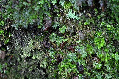 BUITEN BEELD Foto: 448610