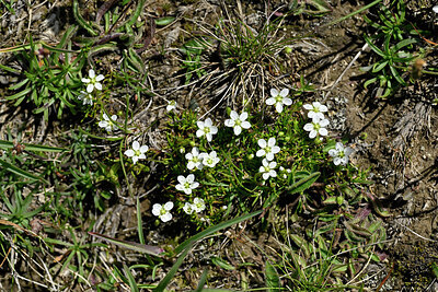 BUITEN BEELD Foto: 448616