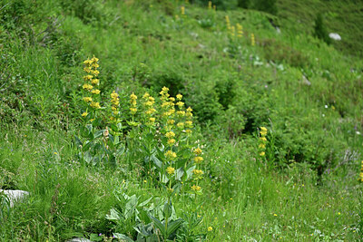 BUITEN BEELD Foto: 448627
