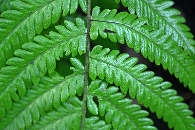BUITEN BEELD Foto: 448632
