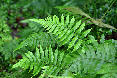 BUITEN BEELD Foto: 448639