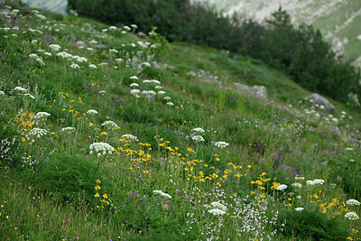 BUITEN BEELD Foto: 448661