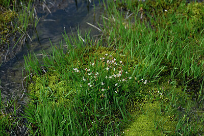 BUITEN BEELD Foto: 448673
