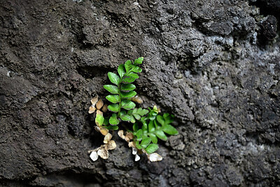 BUITEN BEELD Foto: 448684