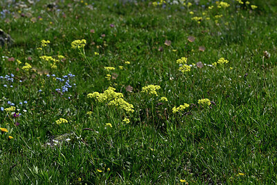 BUITEN BEELD Foto: 448702