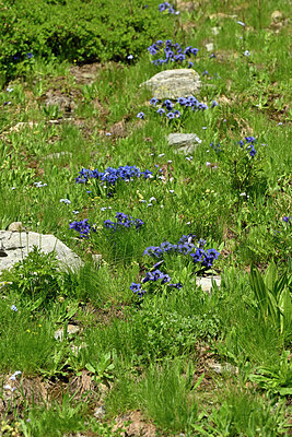 BUITEN BEELD Foto: 448703