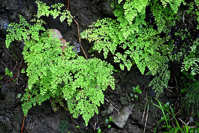 BUITEN BEELD Foto: 448708