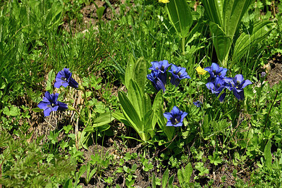 BUITEN BEELD Foto: 448722