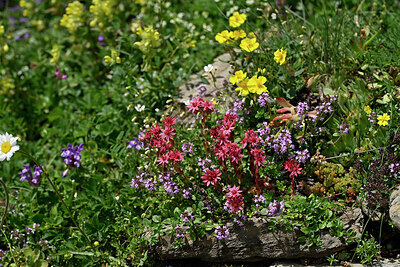 BUITEN BEELD Foto: 448724