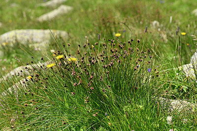 BUITEN BEELD Foto: 448728