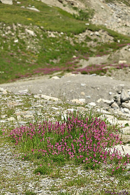BUITEN BEELD Foto: 448735