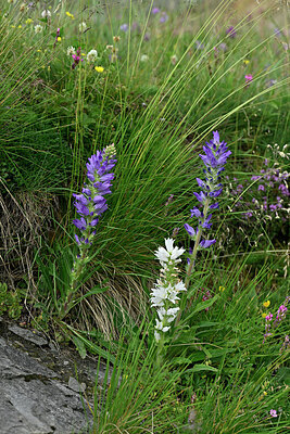 BUITEN BEELD Foto: 448738