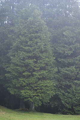 BUITEN BEELD Foto: 448742