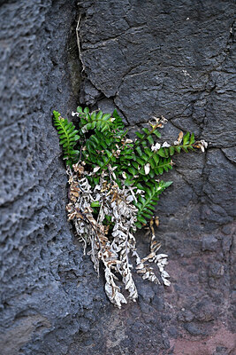 BUITEN BEELD Foto: 448748