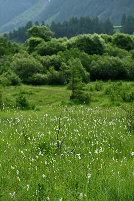 BUITEN BEELD Foto: 448749